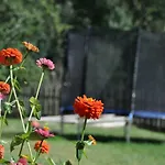 Pohadka 3*